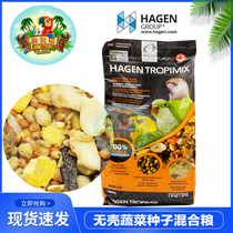 Hagen Harrys small and medium parrot nourishes pill bird feed M grain synthetic grain 4 lbs
