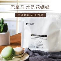 Minato Panama washed flower Butterfly Rose summer fresh baked hand-washed boutique Rose small package coffee beans 120g