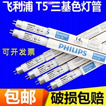 Philips T5 Tube fluorescent strip 28WTL5 vintage fluorescent lamp home Tri-primary color mirror headlight 8W14W21W