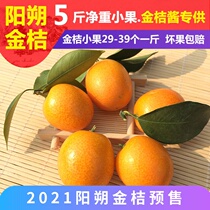 Yangshuo kumquat Guangxi Guilin specialty oil skin small kumquat non-melting crispy kumquat fresh fruit Orange