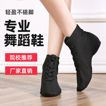Jazz dance shoes high-end womens soft bottom practice shoes body dance shoes ballet shoes adult children male Black