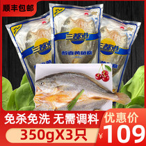 Fujian Ningde Sandugang Fragrant Fried Rhubarb Flowers Rhubarb Flowers Fish Mellow Yellow Fish 350g Fresh frozen fresh seafood