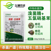 Tropospheric carbon net 45%Bromobenzonitrile pentachloronitrobenzene Seedling blight anthrax pesticide fungicide 100g