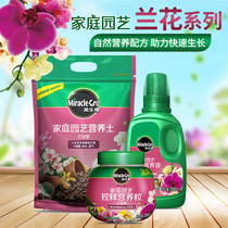 Melody orchid plant special nutrient soil medium liquid fertilizer nutrient grain Phalaenopsis venxin orchid