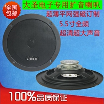 Da Sheng Electronic custom 5 5-inch strong magnetic tape network full-range ultra-large volume amplifier speaker