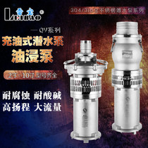 Lei Bao 316 304 does not stainless steel submersible pump filled oil immersion pump fountain pump high lift flow 380V