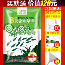 Crazy water grass water grass mud Fish tank landscaping water grass mud free mail than ceramic ada water grass Amazon bottom sand bottom sand