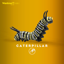Caterpillar