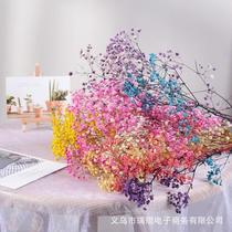 Eternal Flower Stars Tanabata Valentines Day gift diy flower arrangement home decoration eternal flower material