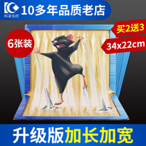 Catch the mouse stickers stained with rat ultra-strong sticky mouse Board glue administered rat rat yao clip particles off catching mice artifact home