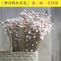 (Star chrysanthemum)Small fresh daisies dried flowers Decorative flowers Art dried branches Small star flowers mini props White chrysanthemum