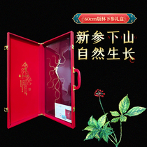 Raw sun exposure Next 18 years 60cm pages Long white Mountain ginseng wild ginseng Hills Exhibi box Whole Branches