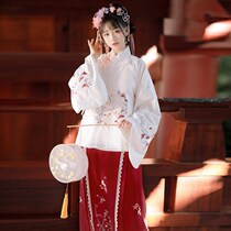 Hanfu womens original Chinese style coat dress warm suit Autumn and winter Jade rabbit embroidery round neck horse face dress New Years costume