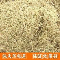 Straw rabbit straw mat grass thatch shade Meadow background dry supplies vegetable bag square roof bundle nest parrot