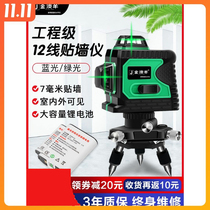 Lacey 12-line level green light high-precision wall-mounted instrument blue light automatic leveling laser infrared level level green
