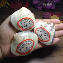 The original factory old Shanghai hand brand clam oil old-fashioned anti-cracking Shell oil crooked oil Harry moisturizing and moisturizing