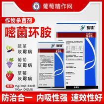 Syngentine Daruzin Switzerland cymocyromine grape notoginseng pepper flower vegetable gray mold pesticide fungicide