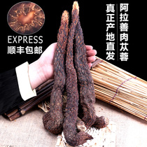  Cistanche whole root Alashan Inner Mongolia Non-special grade wild Suoyang non-Chinese herbal materia medica wine brewing tablets