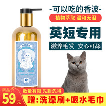 English Short Cat Blue Cat Special Body Lotion for Cat Bath Lotion bath lotion Bath Lotion and mite Pet Pets Pets Pet Pet Pet