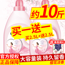 Gold spinning care agent Clothing fabric softener Elegant Cherry blossom fragrance 2 5L*2 fragrance bag 20g family affordable package