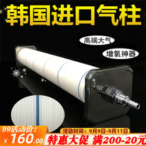 South Korea imported fish pond oxygen gas column gas Pan stone gas head nano gas column