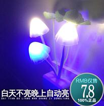 With switch night light bubble socket light baby feeding light dream charging mini bedside light bedroom night light