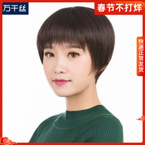 Wig female short hair short straight hair middle-aged and elderly mother short hair realistic hairstyle broken bangs head cover summer light