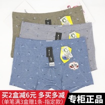 2-pack top version of men's underwear waist modal boxer pants fat pants loose version of fat shorts