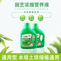 Plant general-purpose nutrient solution hydroponic soil cultivation green plant universal flower green multi-meat fertilizer potted liquid fertilizer