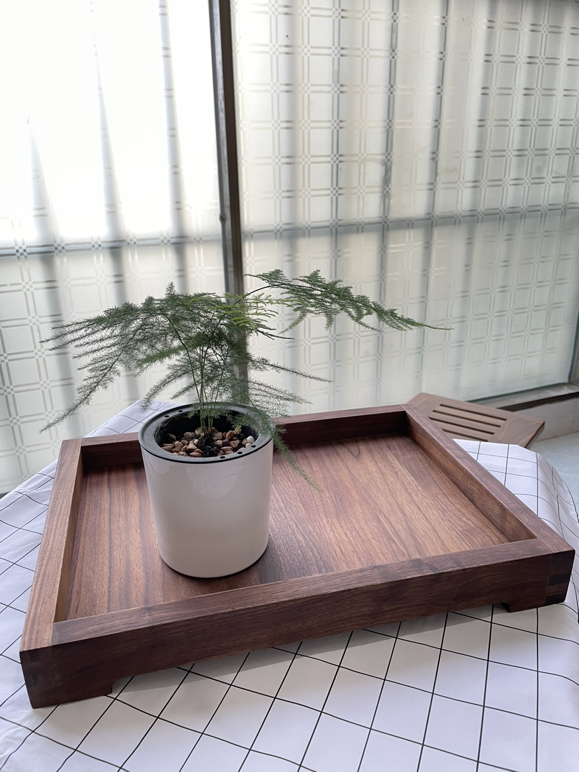 Black Walnuts Wood Containing Disc Rectangular Solid Wood Entrusted Disc Creative Minima Debris Containing Disc