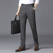 Rich Gui Bird Casual Pants Mens New Business Straight Cylinder Loose Elastic Western Pants Korean Version Plus Suede Youth Spring And Autumn Long Pants Men