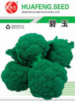 Broccoli seed Green cauliflower seed broccoli spring and autumn sowing vegetables farm garden
