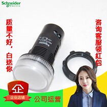 New Schneider white LED indicator XB2BVQ1LC XB2-BVQ1LC AC380V original