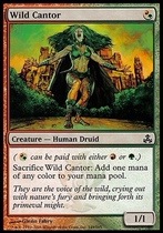 5 dogs tcg]Magic: The Gathering Wilderness Cantor Shihui League English