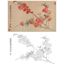 Meticulous painting line draft Yun Shouping bone flower sketch physical print size optional SP29