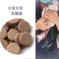 Lactic acid bacteria sheet split charging 40 pieces of conditioning pet stomach digesting the enteritis caused by irritable bowel inflation B22