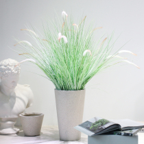  Sicilian simulation plant Rui grass Dog tail grass potted bonsai shop decoration ornaments Window display green plants