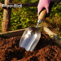 BerryBird Bulbous Grower Seedling Transfer Seedling Picker Weeding Scraper Tulip Flower British BB Gardening Tool