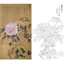 Gongbi painting white sketch background draft peony Chu Yanchun retro style flowers and birds hook line physical print draft size optional CY01