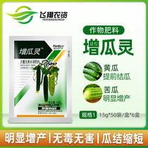 Shouguang Double Star Zengguang Cucumber Bitter Gourd Producing Agent Male Flower Change Female Flower Seat Increase Fruit Rate 15 grams
