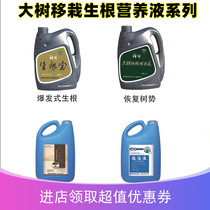 New tree transplant explosive rooting liquid ancient tree reinforced activation of liquid fruit tree nutritional fluid to promote activated agent