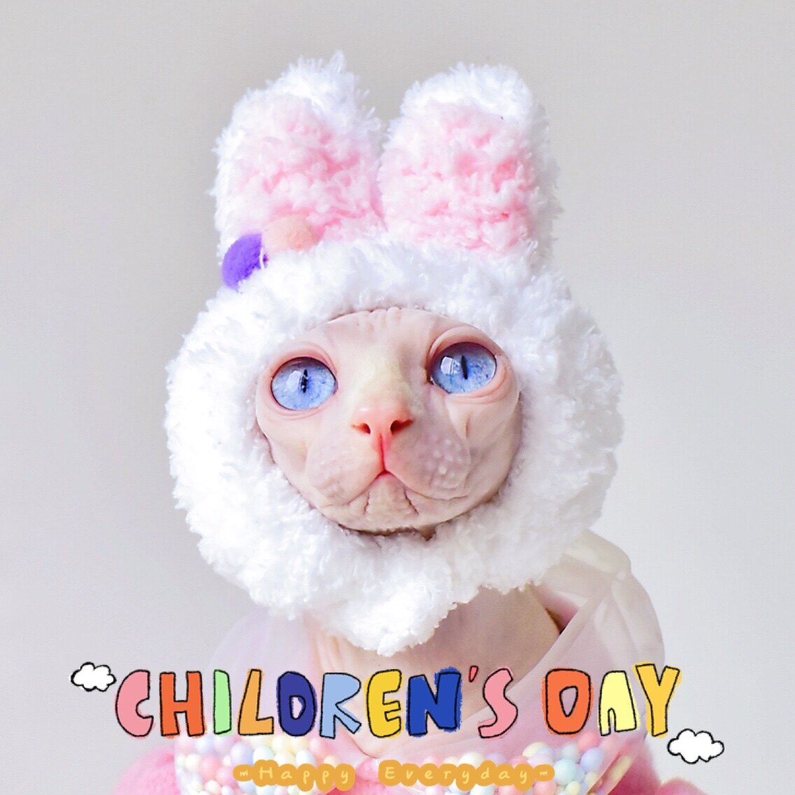 YH new cute shape hand-woven cotton warm hat Sphinx hairless cat clothes accessories German