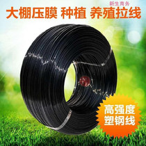 Plastic steel line greenhouse line support line Farm windproof net Flower Shed farmland wear-resistant strawberry shed