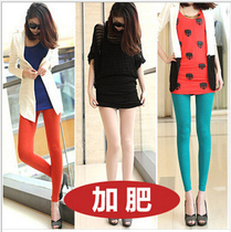 Summer thin Modale plus hypertrophy Lady grey Grey Candy Color summer outwear 90% Little footed underpants
