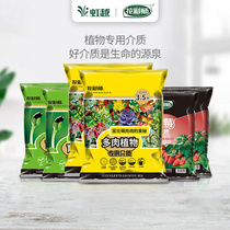 Hongyue flower color division gardening soil strawberry soil Universal Soil fleshy soil bulb seedling Medium 3 5L 2 package