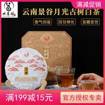 2020 Lower Guanghua Shushu White Tea 320 gr Pie Yunnan Jinggu White Tea Gift Boxes for Guan Tuo Tea