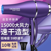 Germany imported 3000W high power hair dryer barber shop household silent high wind hair dryer blue light hair care