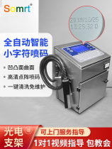 Masters ma small character spray code machine for code machine beating production date Lattice Wordline Conveyor Belt fully automatic