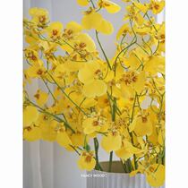 Fancywood simulation dance orchid High-grade dance orchid Modern home New Years Eve flower