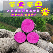 Now dig fresh purple yam purple Huashan purple ginseng potato Purple Jade Huaishan purple foot plate potato Zengcheng specialty 5kg purple Big Potato